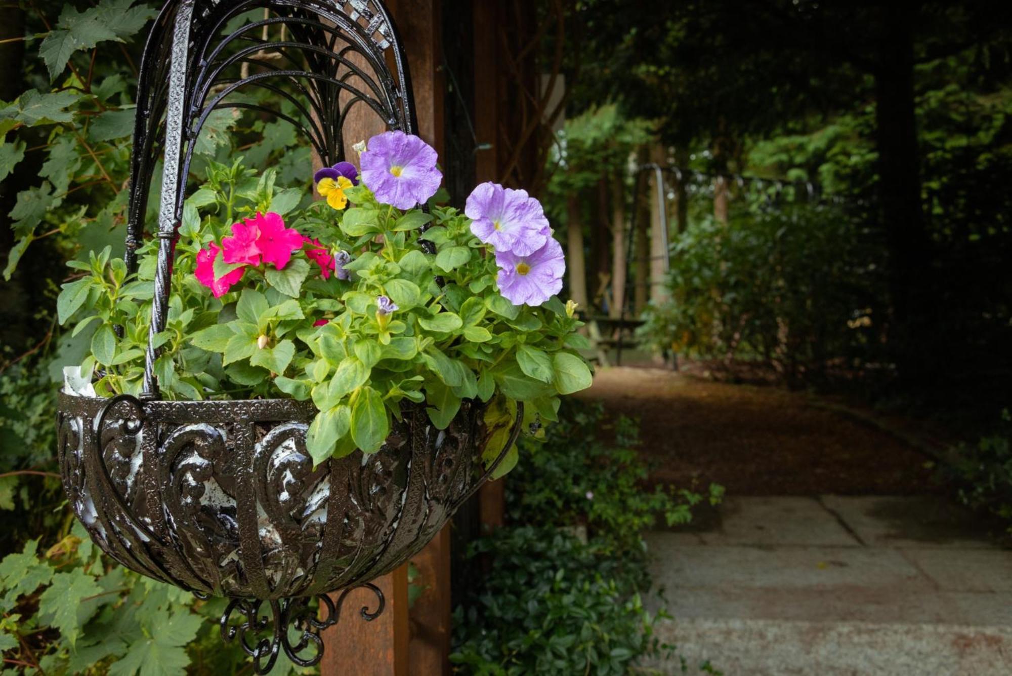 Villa Croneybyrne Courtyard Clara Exterior foto